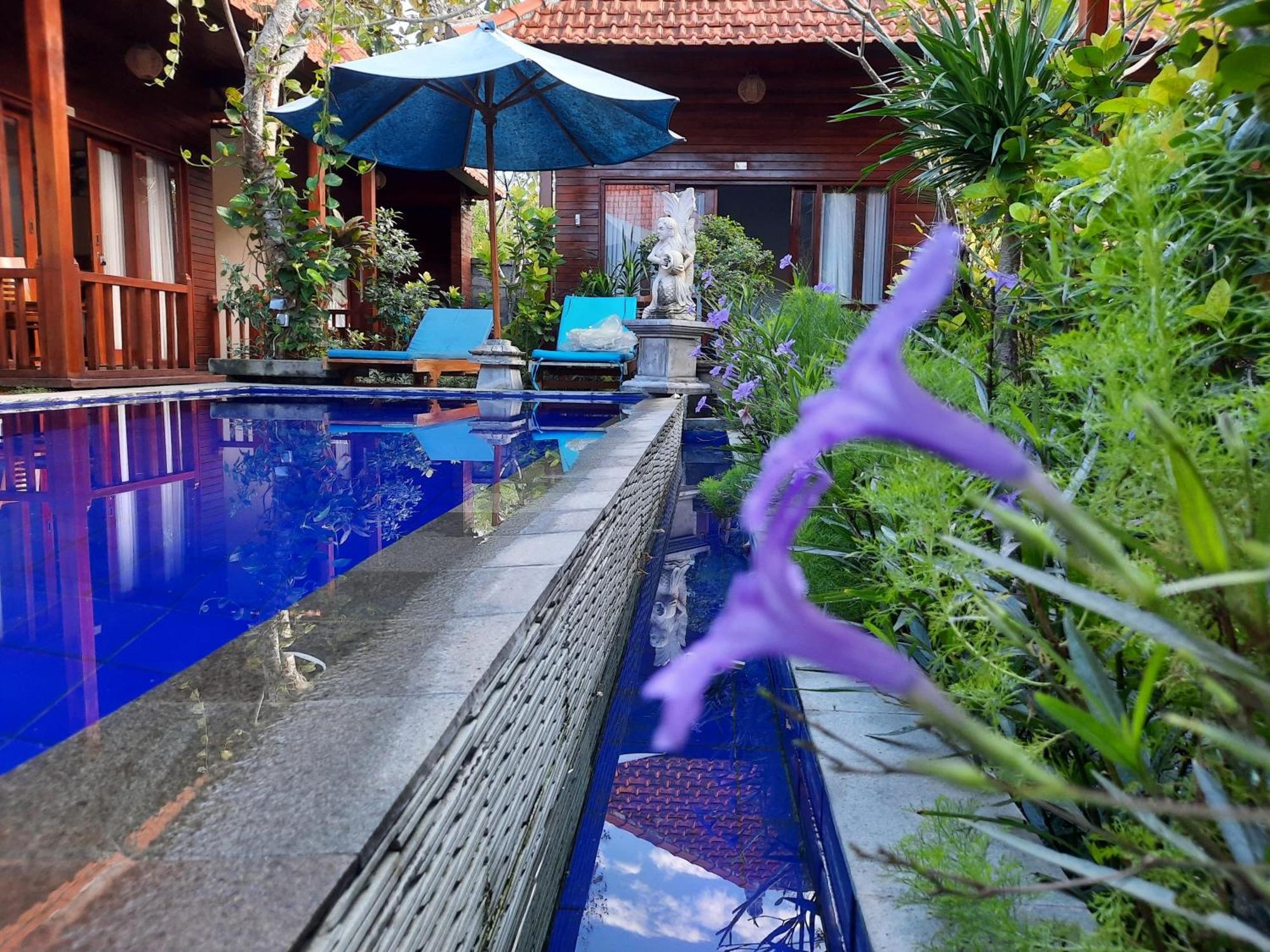 Wait Garden Cottage Toyapakeh Luaran gambar